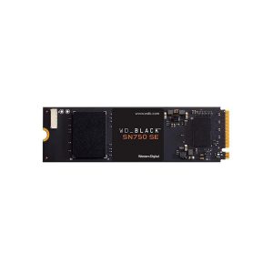 Western Digital-WDS100T1B0E