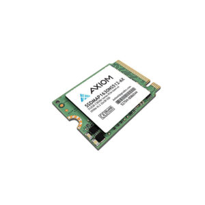 AXIOM-SSDMAP1630NS512-AX