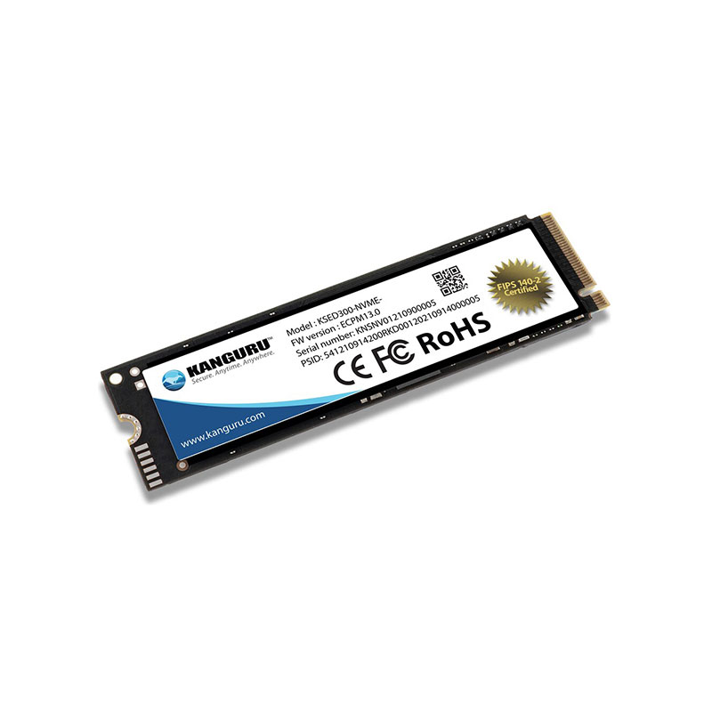 Kanguru-KSED300-NVME-2T