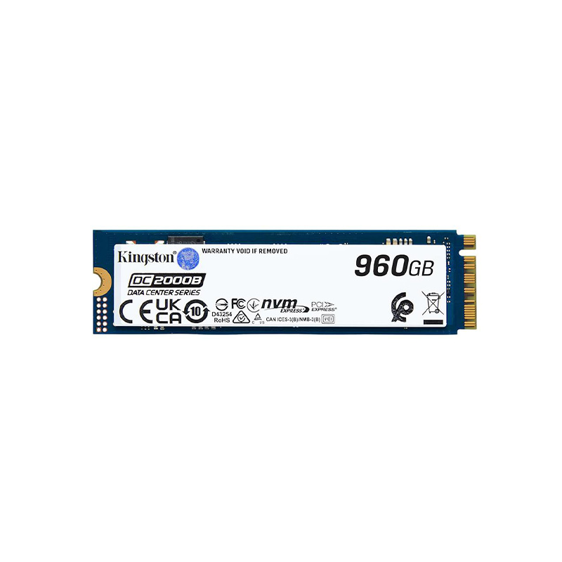 Kingston-SEDC2000BM8/960G