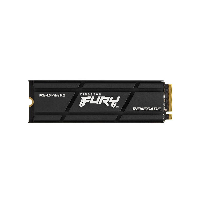 Kingston-SFYRDK/4000G