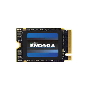 Muskin-MKNSSDED512GB-D3