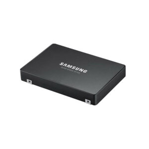 Samsung-MZWLO1T9HCJR-00A07