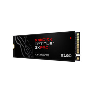 SanDisk-SDSP82200TAN-000E0