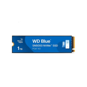 SanDisk-WDS100T4B0E