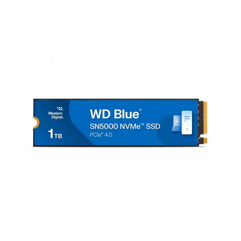 SanDisk-WDS100T4B0E