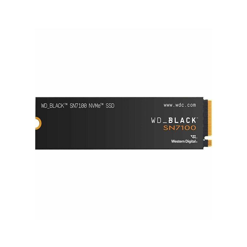 WD-WDS100T4X0E-00CJA0